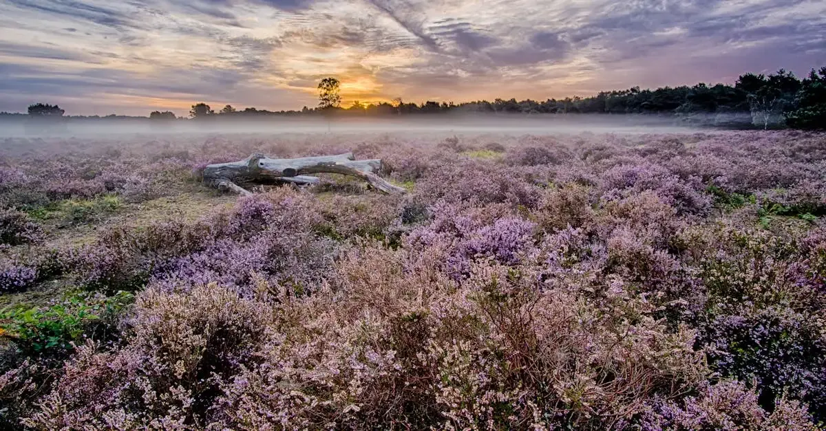 Van der valk hotels in noord brabant